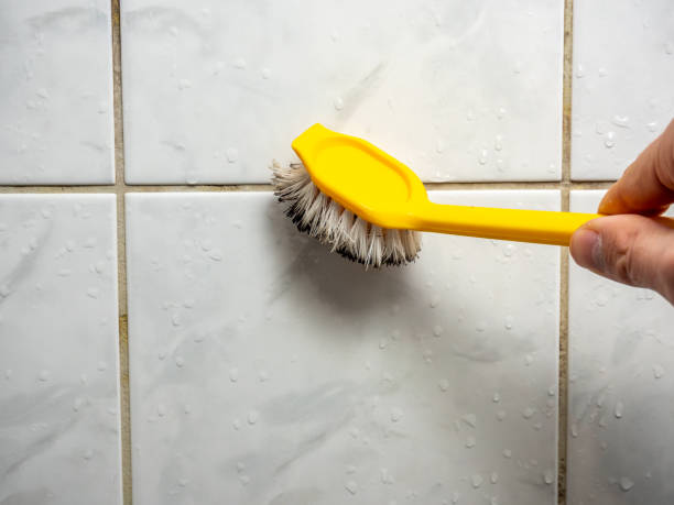 Best Mold Damage Repair  in Rancho Mirage, CA