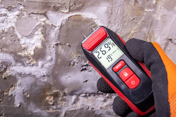 Best Crawl Space Mold Removal  in Rancho Mirage, CA
