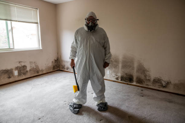 Best Certified Mold Removal  in Rancho Mirage, CA